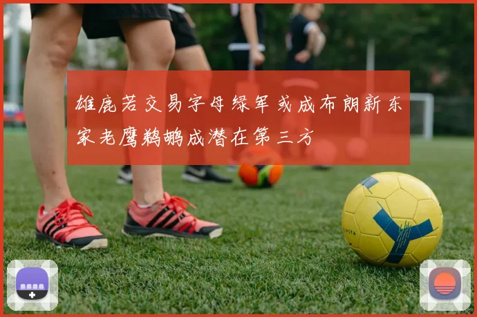 雄鹿若交易字母绿军或成布朗新东家老鹰鹈鹕成潜在第三方