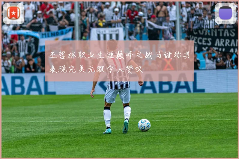 王哲林职业生涯巅峰之战马健称其表现完美无瑕令人赞叹